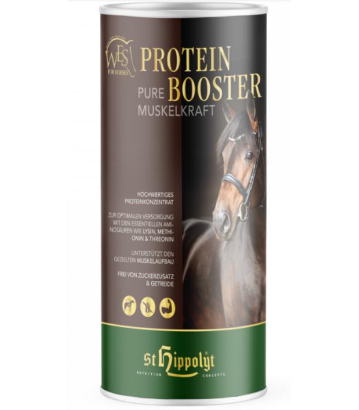 POTENCIADOR PROTEINA WES